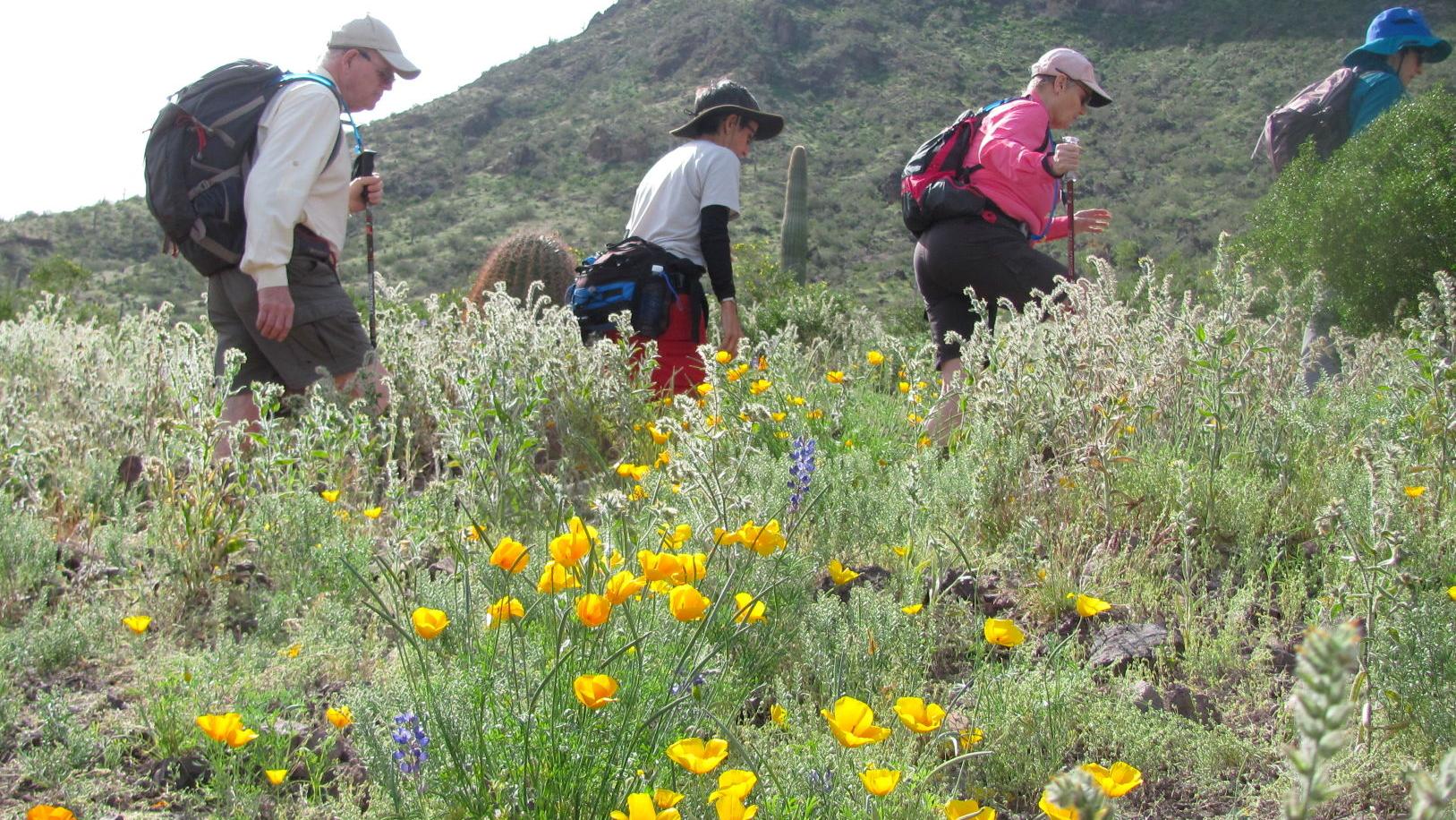 Tucson weather: A perfect weekend to get outside